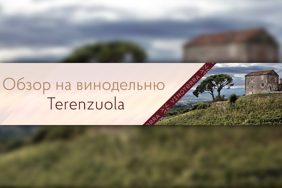 Обзор на винодельню Terenzuola
