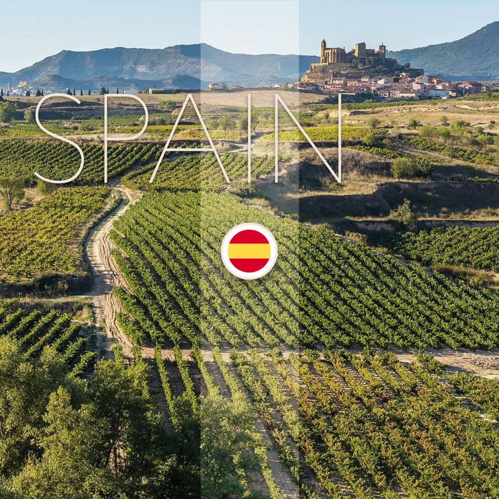 Рейтинг красных вин Испании