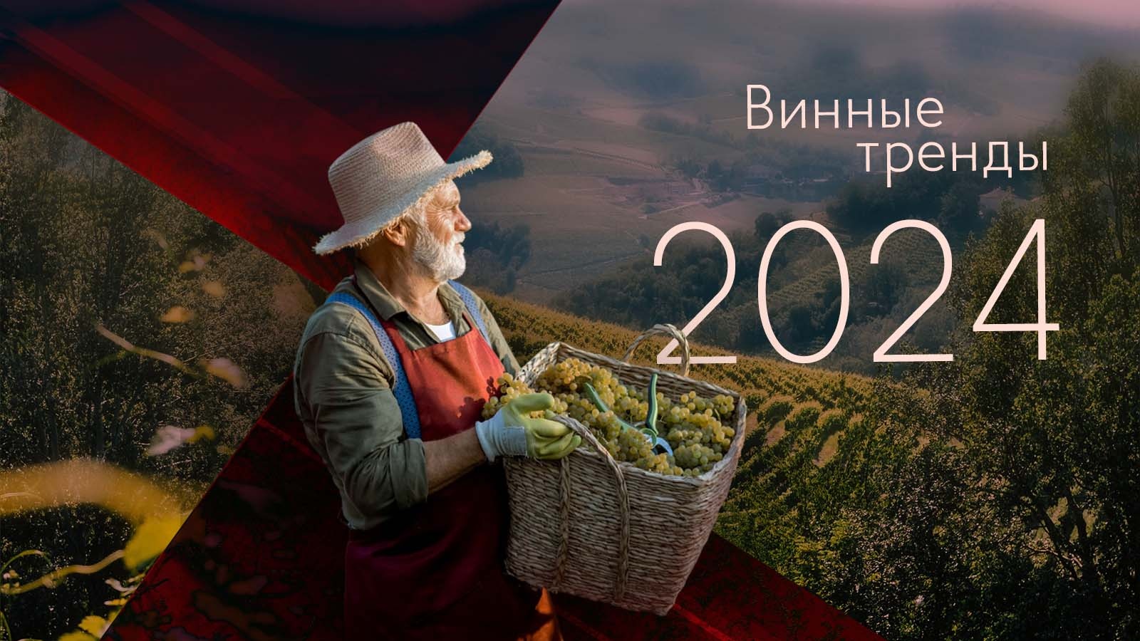 Винные тренды 2024. Часть 1