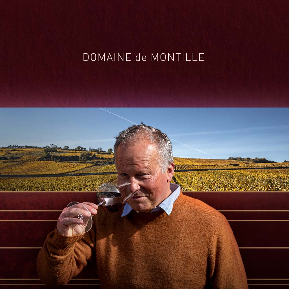 Винодел месяца:  Domaine De Montille