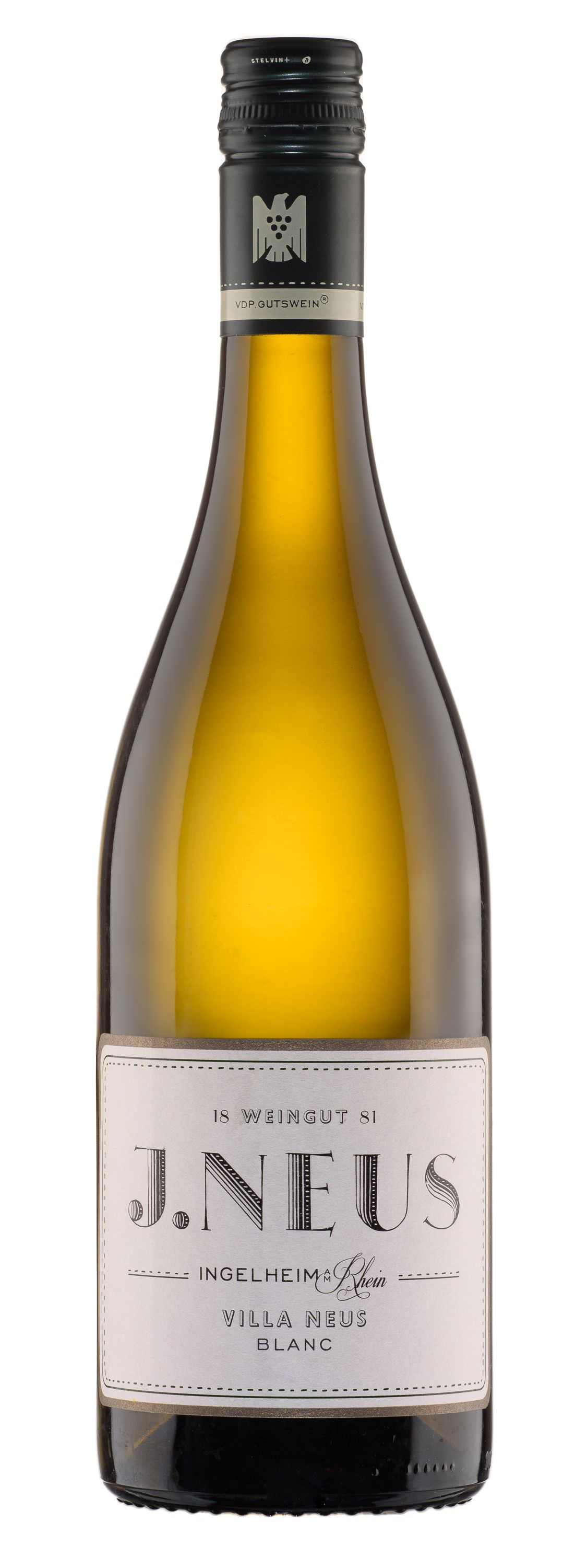 J.Neus, Villa J.Neus Blanc, 2024