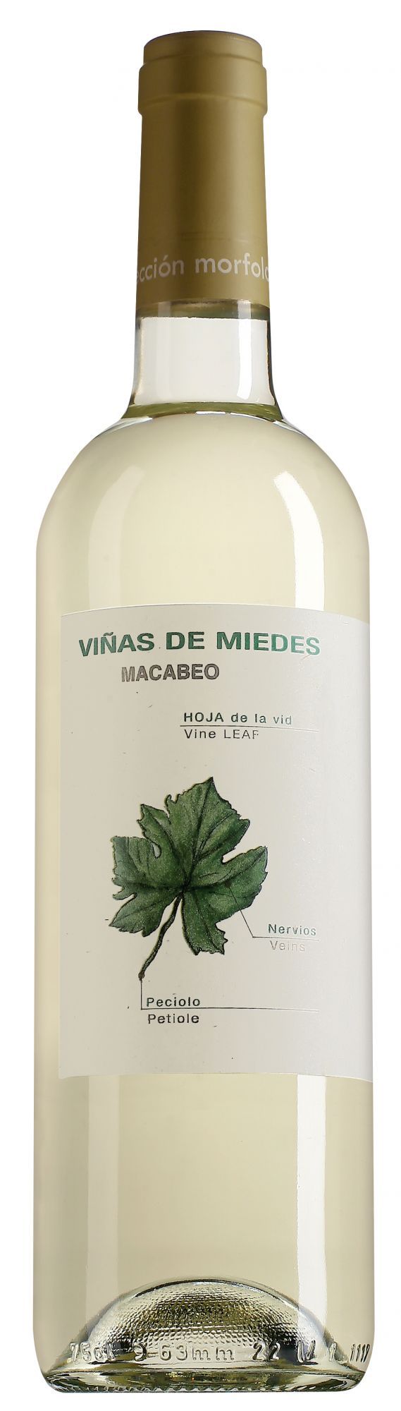 San Alejandro, Vinas De Miedes Macabeo, 2014