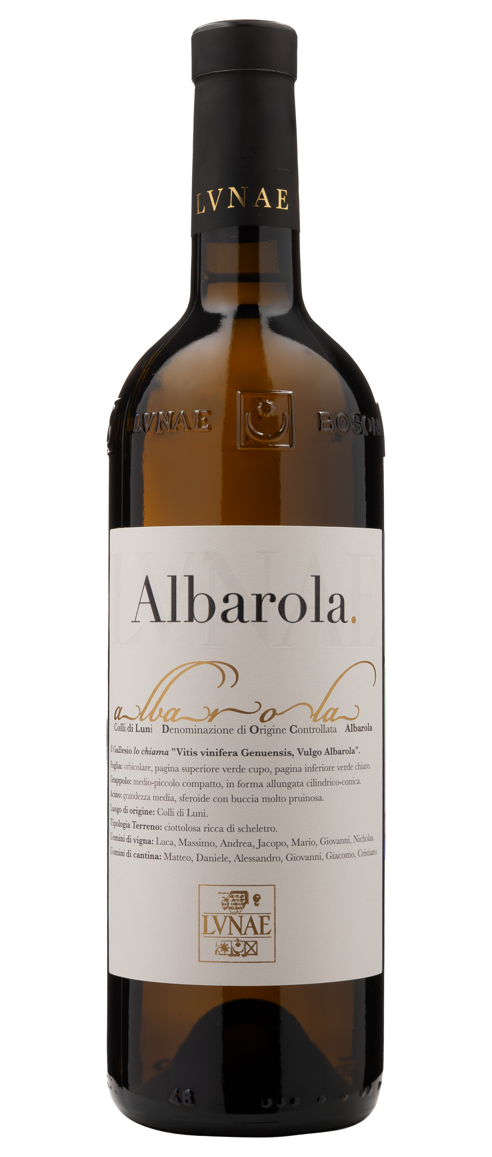 Cantine Lunae, Albarola, 2024