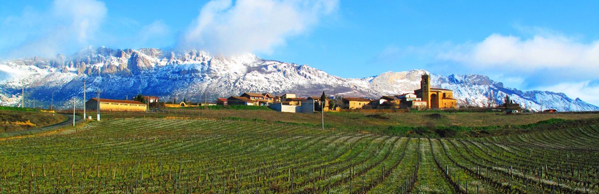 Превращения терруара: 4 замечательные винные истории от Sierra Cantabria