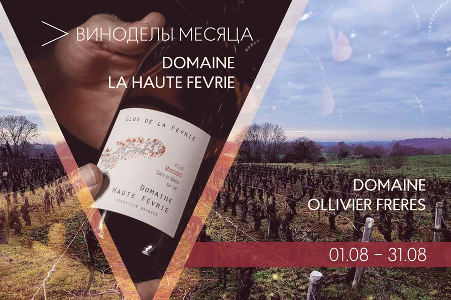 Винодел месяца: Domaine Ollivier Frères и Domaine La Haute Févrie. Мюскаде всерьез и надолго