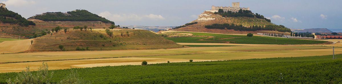Особенности национального виноделия в Castilla y Leon