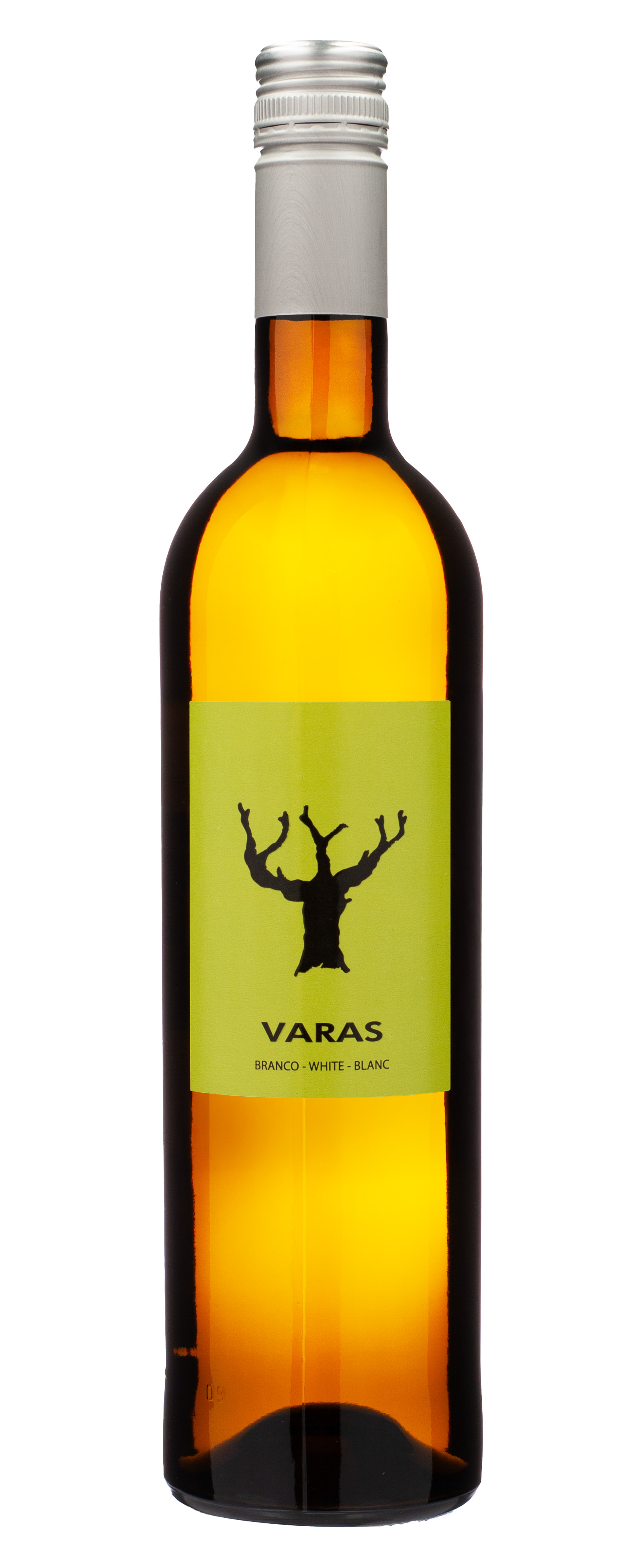 Casa Santos Lima, Varas Branco, 2024