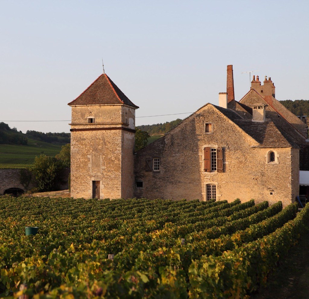 Винодельческий комплекс Clos du Moulin aux Moines на закате