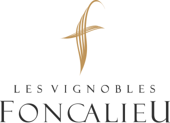 Les vignobles foncalieu logo inter.png