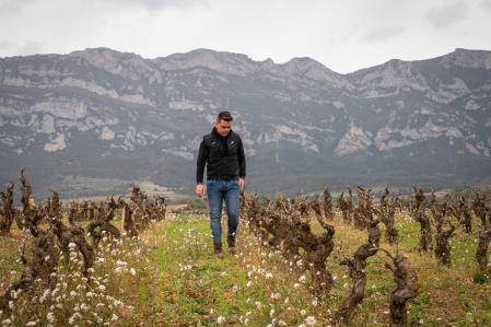 Pedro Ruiz en los viñedos