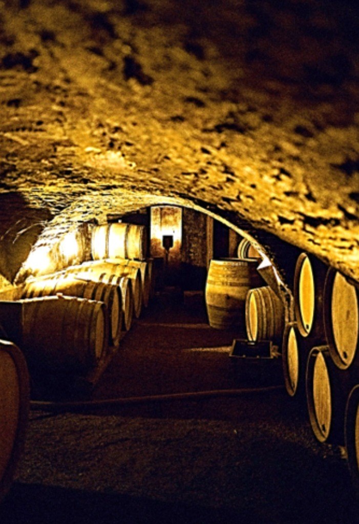 Подземные сводчатые погреба X века Clos du Moulin aux Moines